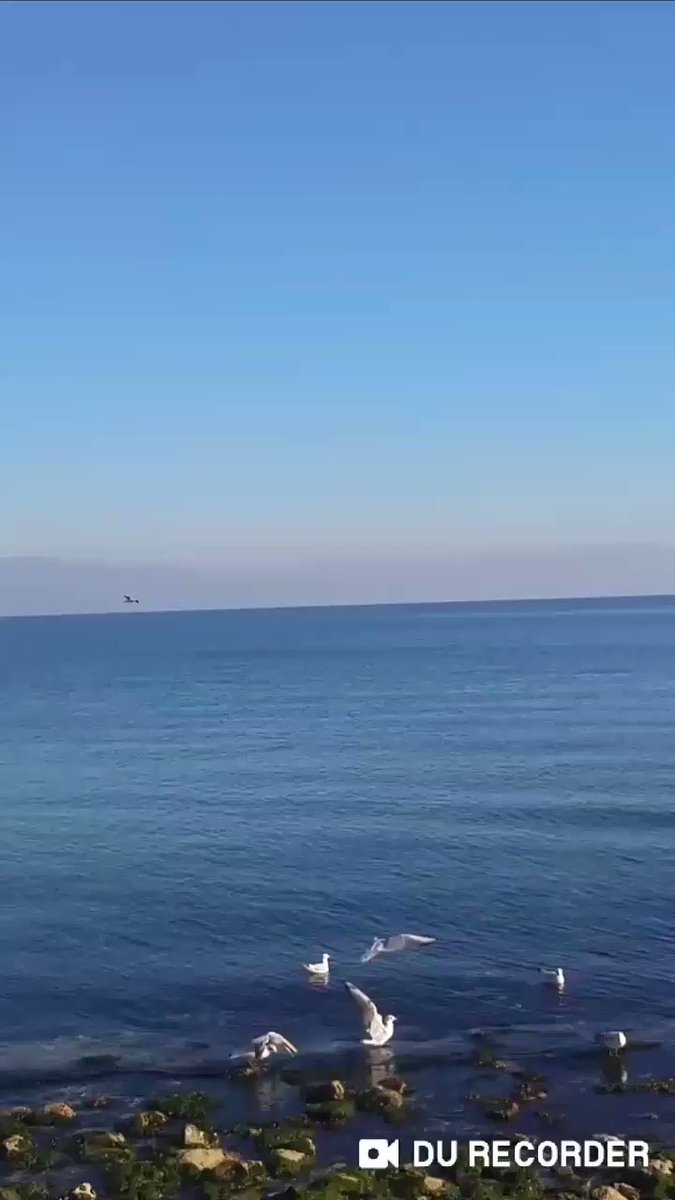 ♾
Ey gönl-ü izdivac-ım,
bir selamın ile hoş eyle kalb-imi...
#KalemlerinSığınağı