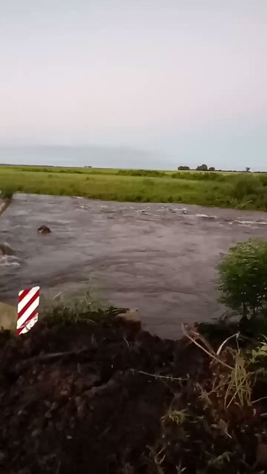 Video insertado