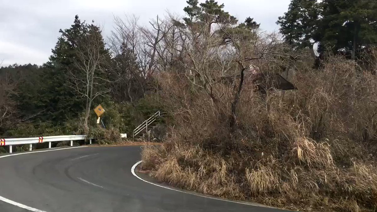 90 S Golden Drift Spot Project 表ヤビツ峠 菜の花台 秦野