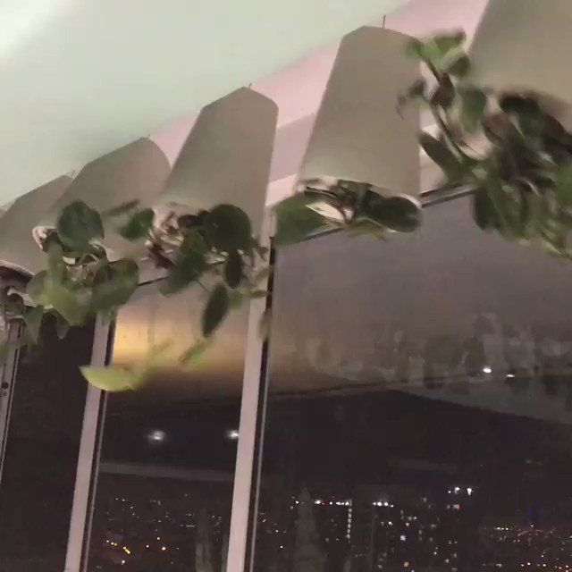 Video insertado