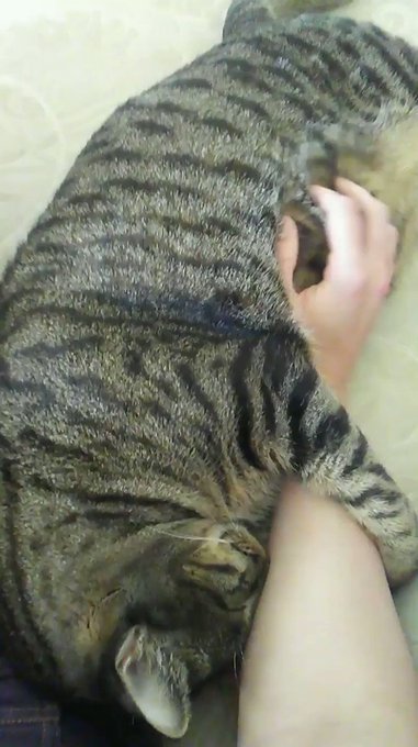 Max #cutes https://t.co/TQp7oqiPuQ<a href="/tag/cutes"class="tags">#cutes</a>