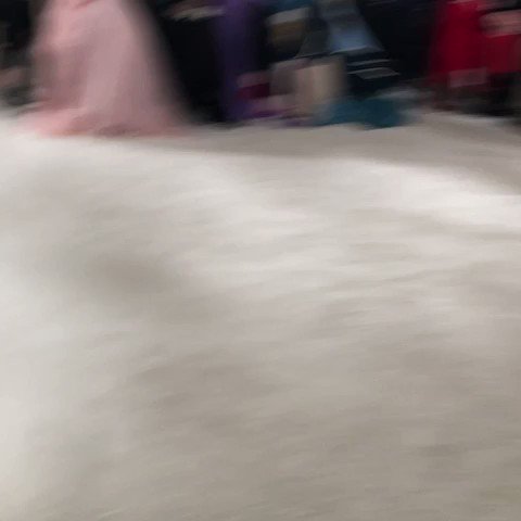 Embedded video