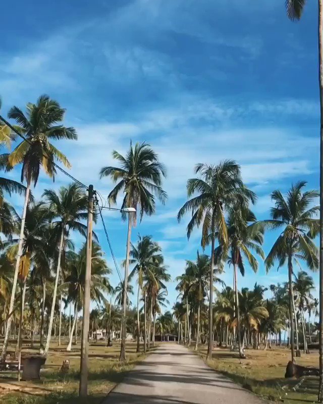 טוויטר Mat Travel בטוויטר Haritu Mat Ada Up Pasal Pantai Jambu Bongkok Harini Kita Tengok Video Dia Pula Haa Ada Beach Vibes Tak Kalau Ada Kena Pi Terjah La Tempat