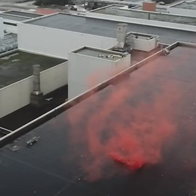 Video incorporato