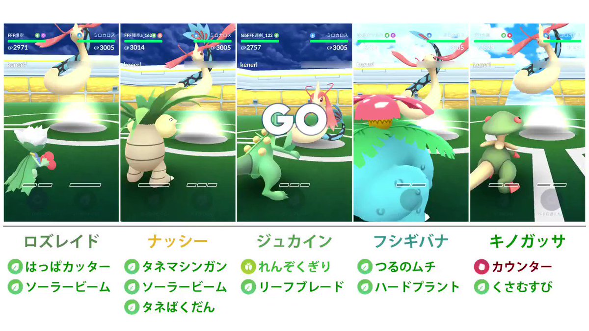 カネール 草結びキノガッサを作ったのでミロカロス相手に他の草タイプと討伐比較してみた 技1がカウンターでもジュカインやフシギバナにも匹敵する火力で 格闘アタッカーにもなるからジムではかなりの強ポケだと思う ちなみに草結び統一で戦ってますが