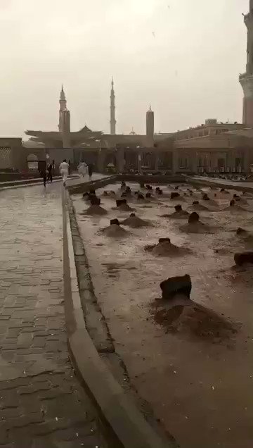 #امطار_المدينه
اللهم بعدد قطرات المطر ارحم من اشتاقت قلوبنا لرؤيتهم وبرّد قبورهم ببرد عفوك ورضاك، يارب كما أغثتنا و رويت الأرض ماءً غدقا اروِي قبور موتانا برحمة دائمة إلى قيام الساعة 🙏🏻💛.