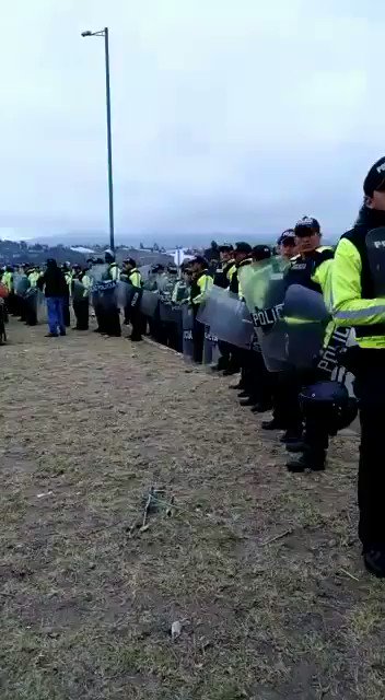 Video insertado