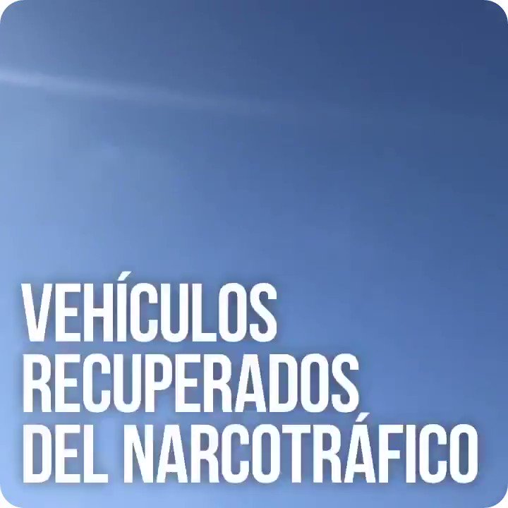 En Mar del Plata recorrimos el playón donde están los más de 300 vehículos incautados al narcotráfico y la corrupción en el operativo "Lavado total". Cada uno es un golpe a las bandas delictivas que ya no cuentan con ellos para operar.