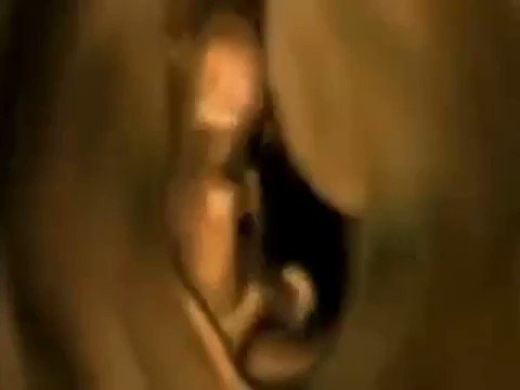 This incredible 4D scan captured footage of what unborn babies do in the womb. Wow! This is amazing.
Why would anybody want to abort this beautiful baby.
Retweet if you’re pro-life.
