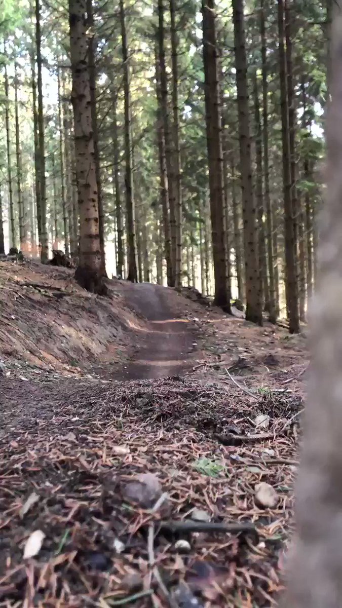 I love this speedy little rollercoaster section on one of my hometrails ๐๐
Today I had a lot of efforts on my training schedule ๐
After the suffering it was pretty nice to just cruise around for the sake of cruising
@iamspecialized @ROTOR_bike @magura_official @lookcycle
