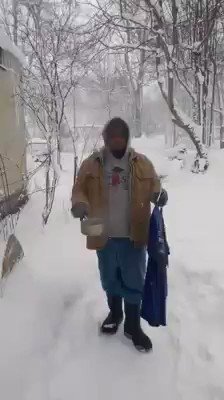 el dia despues de mañana mexico