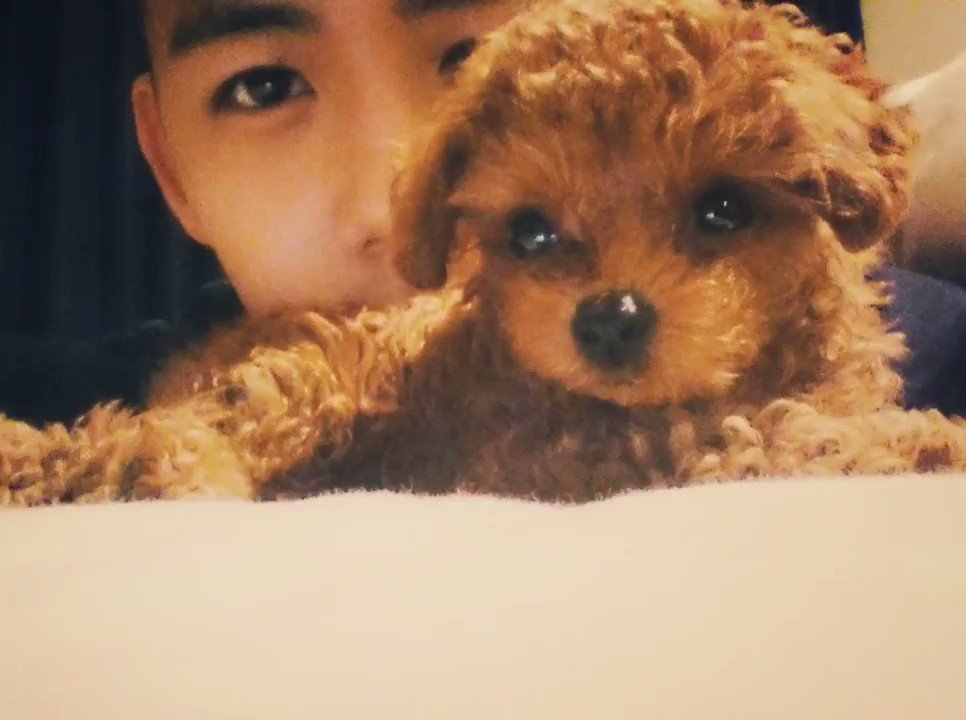 清水翔太 そして 愛犬トトが生きていた時に書いた曲です いつか皆にも聴いてもらおうとは思ってました トトの為なんで頑張って初めて動画作ってみました