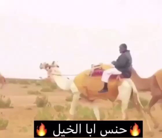 خيال البل