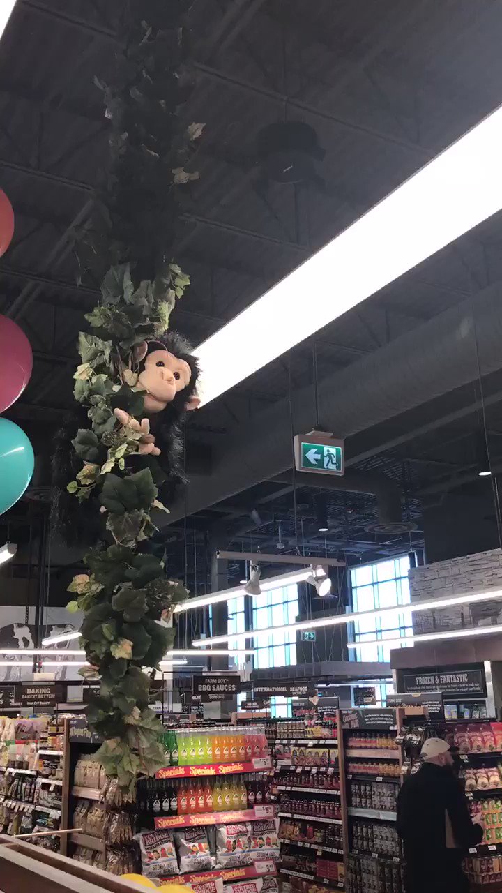 Farm Boy For Those Asking Yes Mikey The Monkey Is At Our New Leslie Amp Lake Shore Location Protector Of And Maker Of For Everyone Who Visits Farm Boy For Those Asking Yes Mikey The Monkey Is At Our New Leslie Amp Lake Shore Location Protector Of And Maker Of For Everyone Who Visits