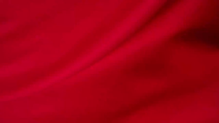 Video insertado
