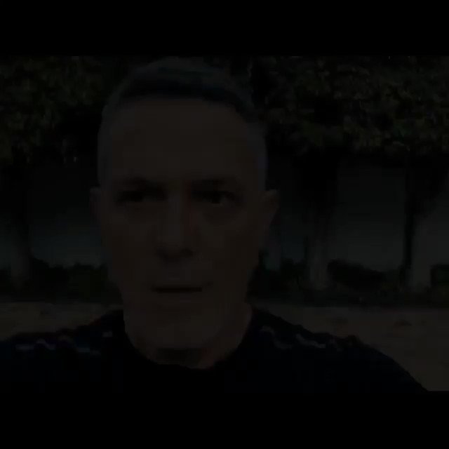 Embedded video