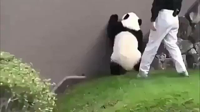 mi amigo: no me podré mala copa lo prometo
mi amigo 1 cerveza después: