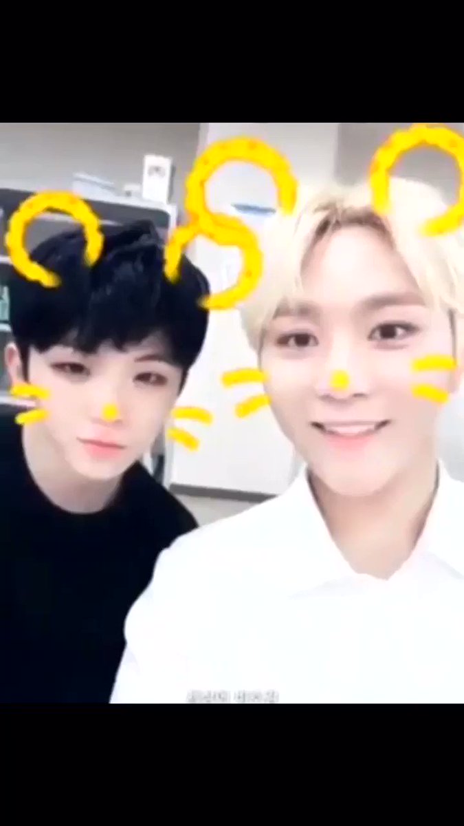 This will remain my favorite video on the internet
#seventeen #seungkwan #woozi #bts #exo #twice #blackpink #kpoo #cute