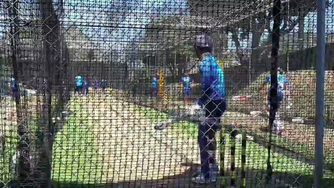 Embedded video