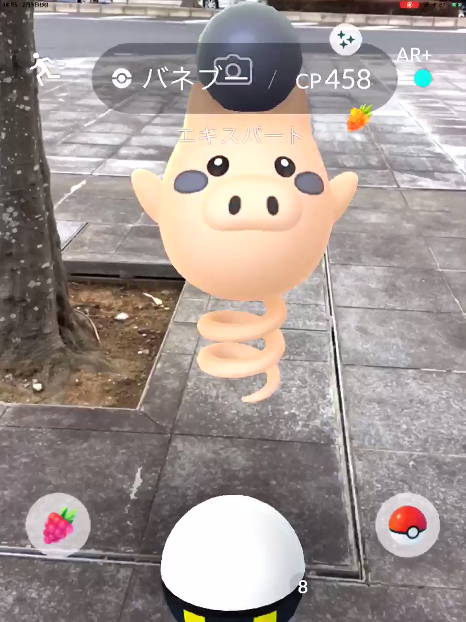Onepoke ポケモンgo バネブー 色違いポケモン 旧正月イベント Pokemongoarplus Arプラス道中記 T Co Iwaosvpykf Twitter