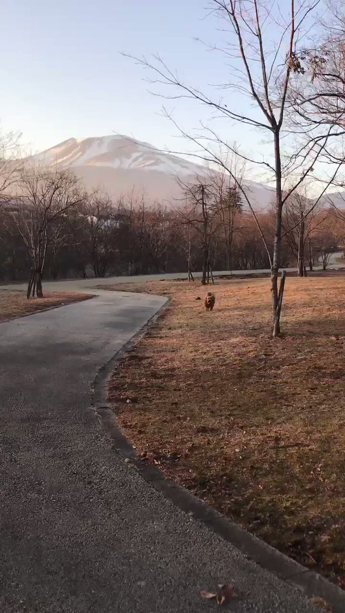@6yYbe7's video Tweet