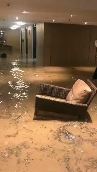 Video insertado