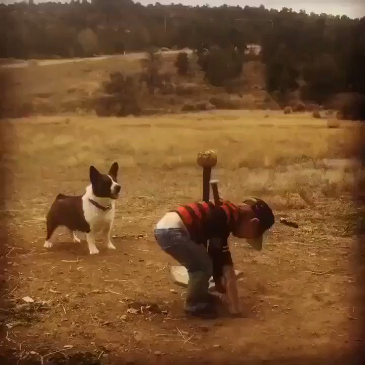 This is one of the purest videos I’ve seen