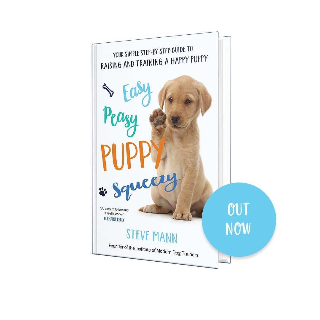 🐶 As founder of the Institute of Modern Dog Trainers, @SteveMannDog has helped transform the lives of over 100,000 dogs and their families.
Easy Peasy Puppy Squeezy: Your simple step-by-step guide to raising and training a happy puppy is OUT NOW! 🐶🐩🐕
https://www.amazon.co.uk/Peasy-Puppy-Squeezy-step-step/dp/1788701607 …