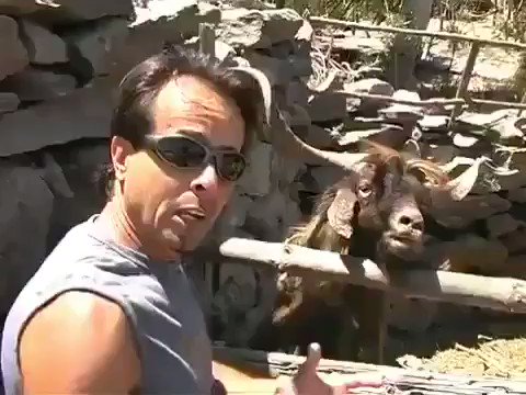Man argues with spitting goat 😂 😂