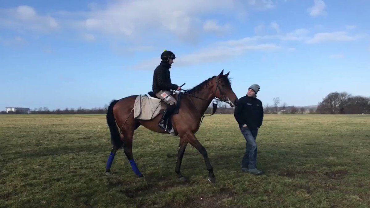 Glad to have been given the all clear and get back on the heath this morning🏇🏻👍🏻
Thank you to @RossdalesVets @piet_ramzan @ahtofficial @NewmarketGallop for all your help in getting us back to our normal routine #teambotti #equineflu #Newmarket #HorseRacing #thankyou