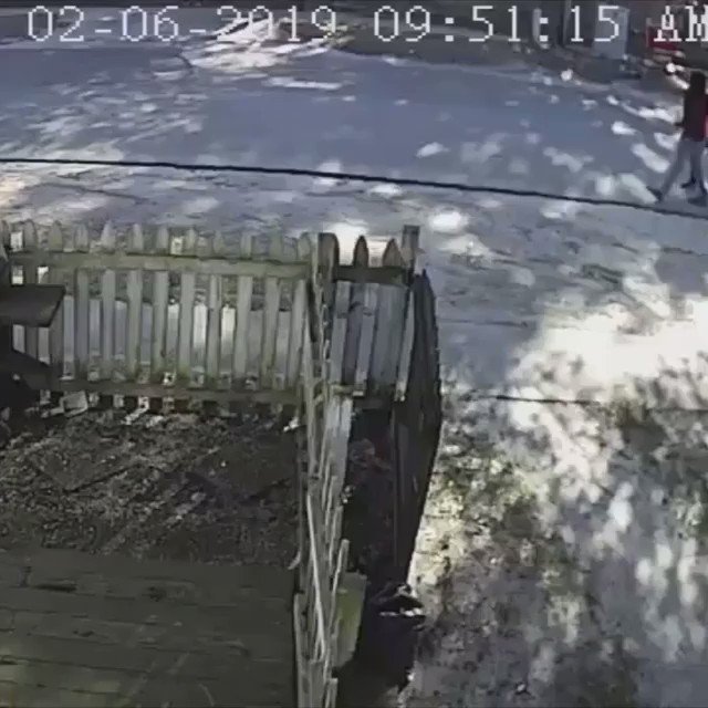 ATTACK OF THE EX? Police are on the hunt for a woman who they say plowed her car into her ex-boyfriend and his female companion as they walked.
Cops say she then posted a smirking selfie with the damaged car on social media. Now, she's vanished. https://7ny.tv/2UQlArs