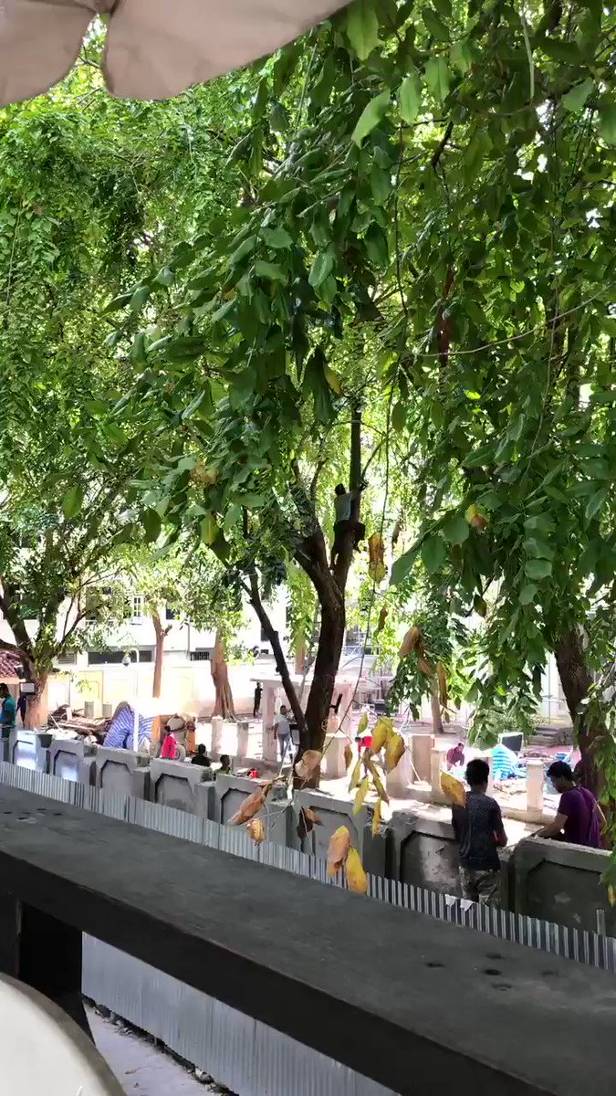 Dhivehi Raajjey ge Gaanoonu hadhaa majileehugai masaehkaeh kuraa labourun safety aa nulaaa masaehkaa kuraa manzaru. Zinmaavaanee kon faraatheh tho? @mvpeoplesmajlis @faya_i @EconDevMv @ibusolih