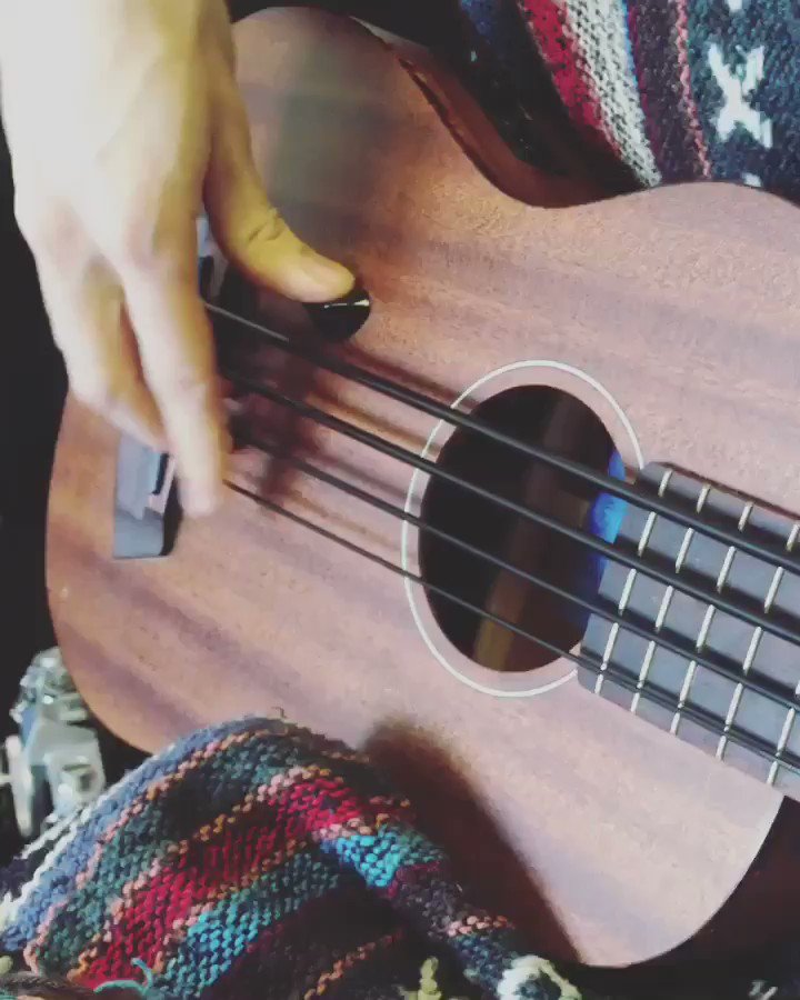 Jacob Collier on Twitter "UBass! Brussels, see you tomorrow )… "