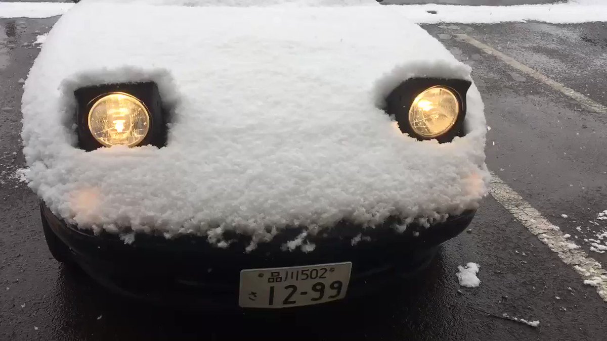 恥ずかしそうにしてる 車 なんかかわいい 話題の画像プラス