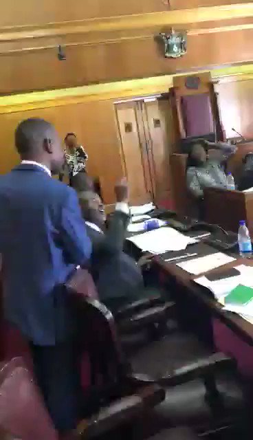Sights and Sounds from Zimbabwe Parliament 🔥🔥🔥