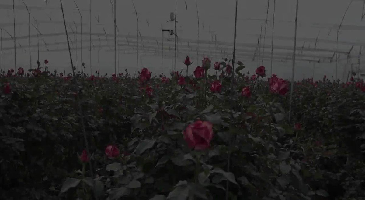 .@UPS Ready To Help Love Bloom Worldwide On Valentine’s Day - https://buff.ly/2I7WaUZ #upsnews