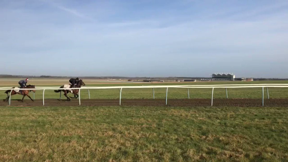 #TuesdayMotivation Yay we are back racing tomorrow🏇🏻🙌🏻🎉 #EquineFlu #teambotti #backracing #HorseRacing