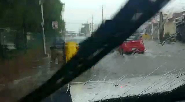Video insertado