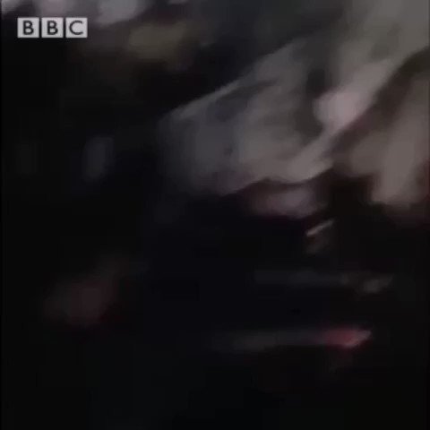 ویدئوی جاسازی شده