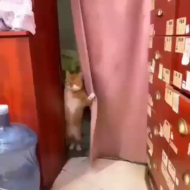 when you’re in the dressing room looking for your mom so she can see the fit on you