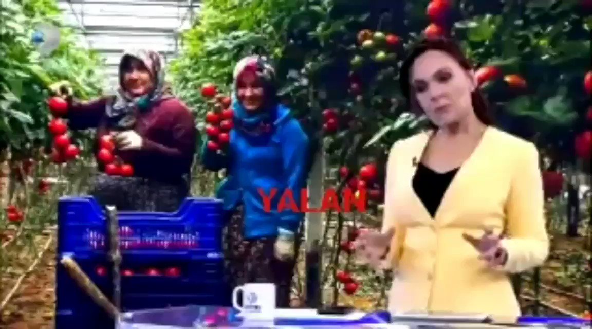 Kanal D haber, Tanzim satışlarıyla ilgili Üreticilerle yaptığı röportajları kesip birleştirerek yalan haber yapalı birkaç saat oldu(Paylaşalım herkes görsün)