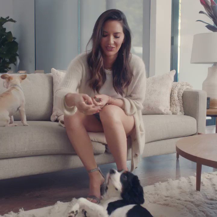 Nothing compares to the love of a shelter pet, just take it from @oliviamunn! We're so excited to share the @shelterPetProject's #AdoptPureLove campaign this #ValentinesDay! Shelter pets are a lot of things but no matter what they're all pure love. ❤️