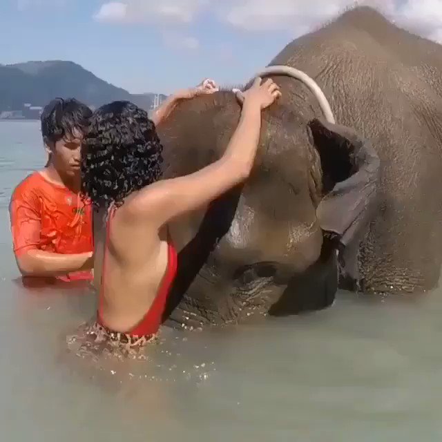 Wait for it 🤣🤣🤣🤣🤣🤣🤣