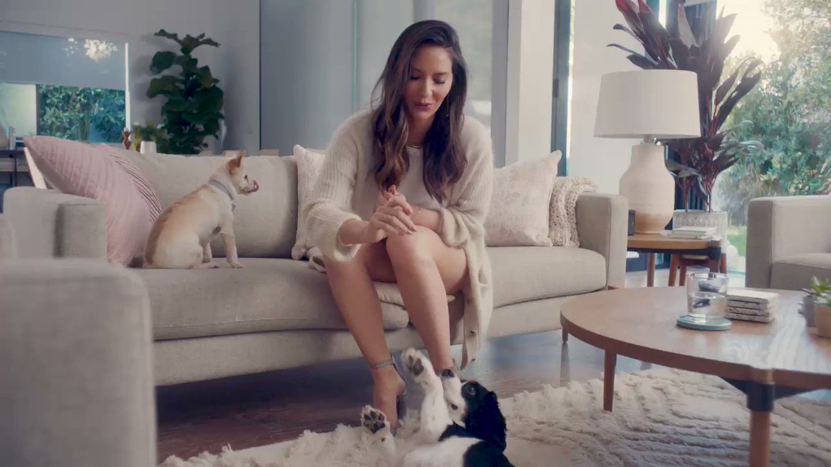 I’m so excited to announce the launch of @shelterpets #AdoptPureLove campaign just in time for #ValentinesDay! Adopting Frankie and Chance has truly changed my life – while they’re each a little bit of a lot of things, they’re all pure love.