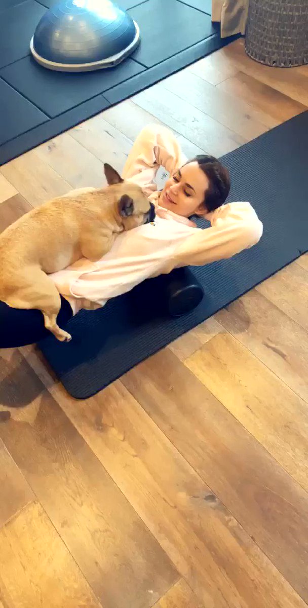 So funny 🐶😂❤️