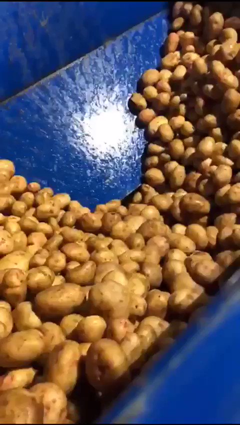Into the mill we go! Our #fieldtobottle #potato #vodka today.
🥔 Full of character
🥔 Super smooth
🥔 So so creamy
🥔 Thick viscosity
⏩ Taste of our land. Scotland’s first potato vodka 🏴
#home #grown #sustainable #glutenfree #potatovodka #bar #happyfriday #friyay
