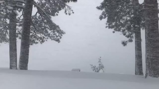❄️ MAGICAL WINTER: Travel to Tahoe is highly discouraged this weekend, but we can't get over how beautiful it looks. https://www.kron4.com/kron-on