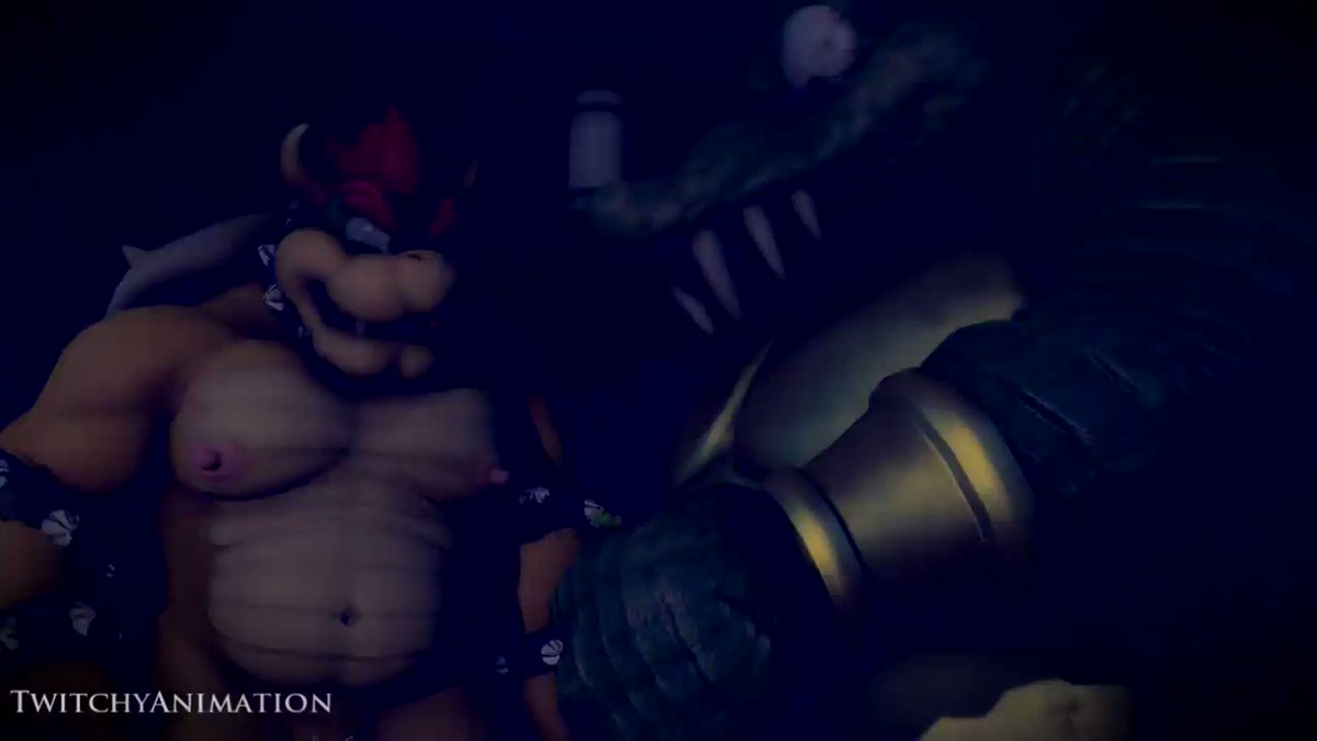 Sparkx 🏳️‍🌈 on X: Commssioned Animation done by @FishPrison Seems Bowser  and King K. Rool got their hands on me and decided to use me as their toy  for the night. I