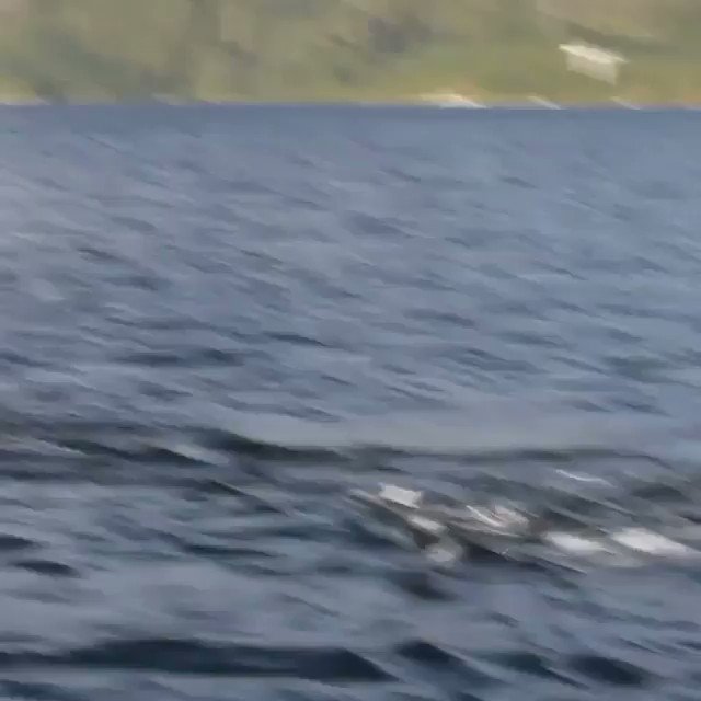 When whales exhale rainbows 🐋 🌈
🎥ig: vprigollini