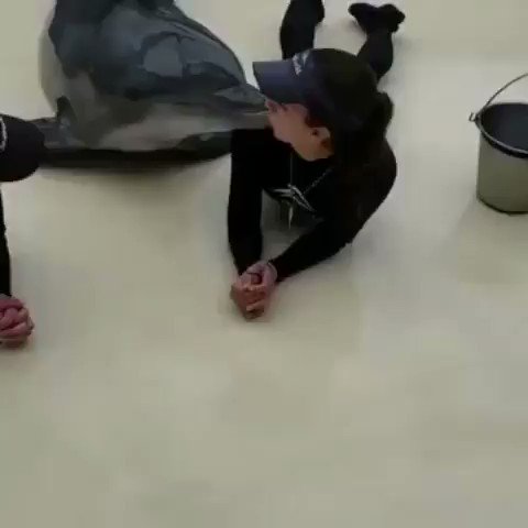 イルカとチュウ！？ひたすらイルカとキスする動画がこちらですw